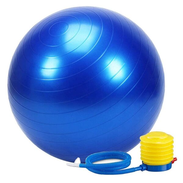 gym ball mds 095 1