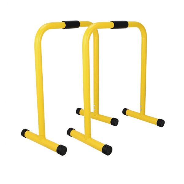 mds equalizer parallettes 069